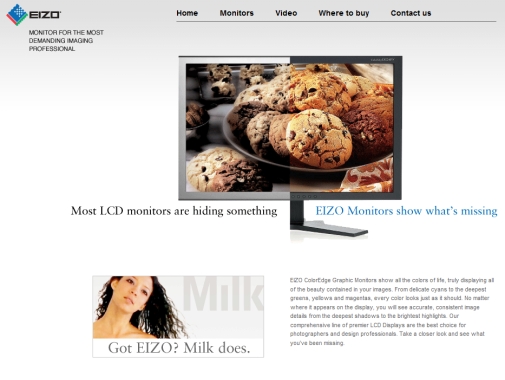 Web design Eizo image